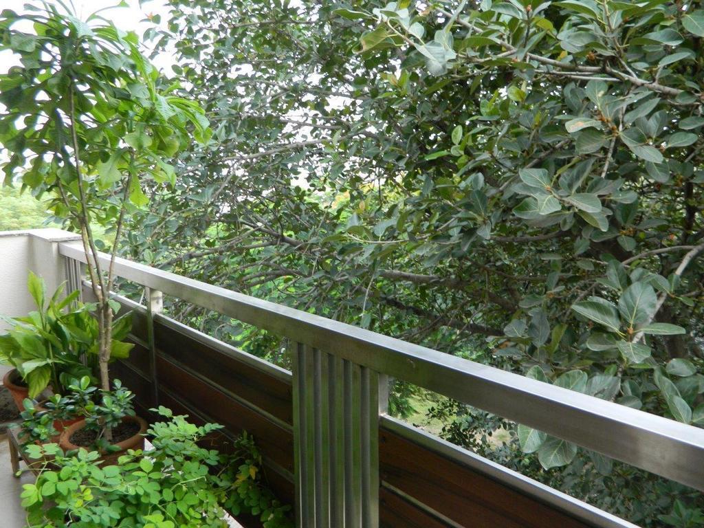 Deerpark Villa Yeni Delhi Dış mekan fotoğraf