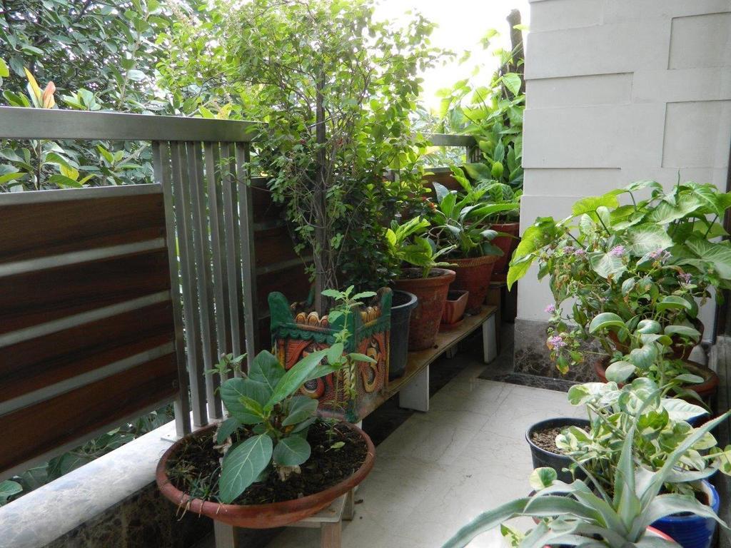 Deerpark Villa Yeni Delhi Dış mekan fotoğraf